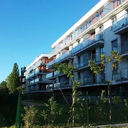 Sunny